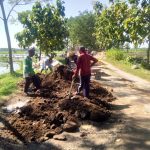 Pemdes Klampisan Gunakan Dana Desa Untuk Paving Jalan Poros Desa 