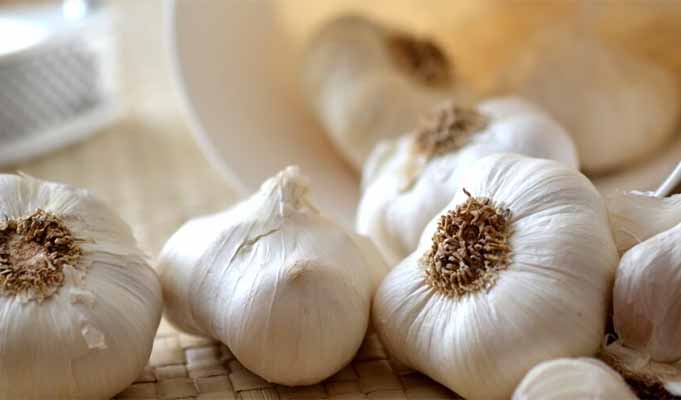 KPPU Prediksi Harga Bawang Putih Berpotensi Naik