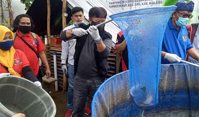 Peternak Lele Malang Raya Butuh Bantuan Modal Pemerintah