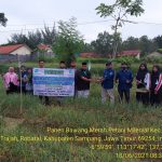 Pemuda Milenial Desa Robetal Sukses Panen Bawang IMG-20210619-WA0158