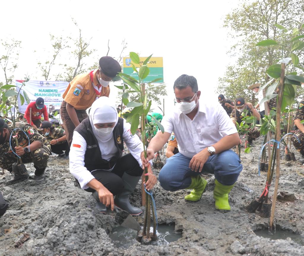 Atasi Perubahan Iklim Gubernur Khofifah Ajak Nandur Mangrove Bareng 5 Atasi Perubahan Iklim Gubernur Khofifah Ajak Nandur Mangrove Bareng
