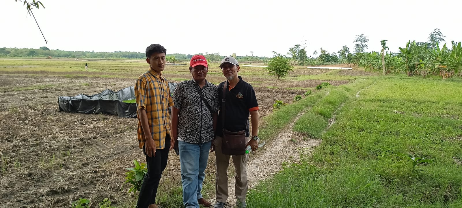 APEDI Jatim Mengajarkan Tanam Padi Organik