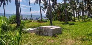 Warga di Banyuwangi Tolak Rencana Pembangunan Galangan Kapal, Akses Jalan Diportal 1