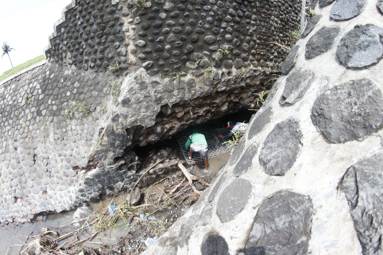 Dinas PU Pengairan Pasang Bronjong di Pintu Intake Dam Bajulmati 2 Dinas PU Pengairan Pasang Bronjong di Pintu Intake Dam Bajulmati 1
