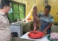 Pantau Wabah PMK, Anwar Sadad Disambati Anjloknya Omset Pedagang Daging Sapi 3 DPRD Jatim