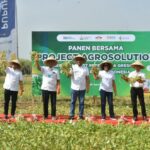 Project Agrosolution Petrokimia Gresik Hasilkan Peningkatan Benih Kankung IMG-20220830-WA0192