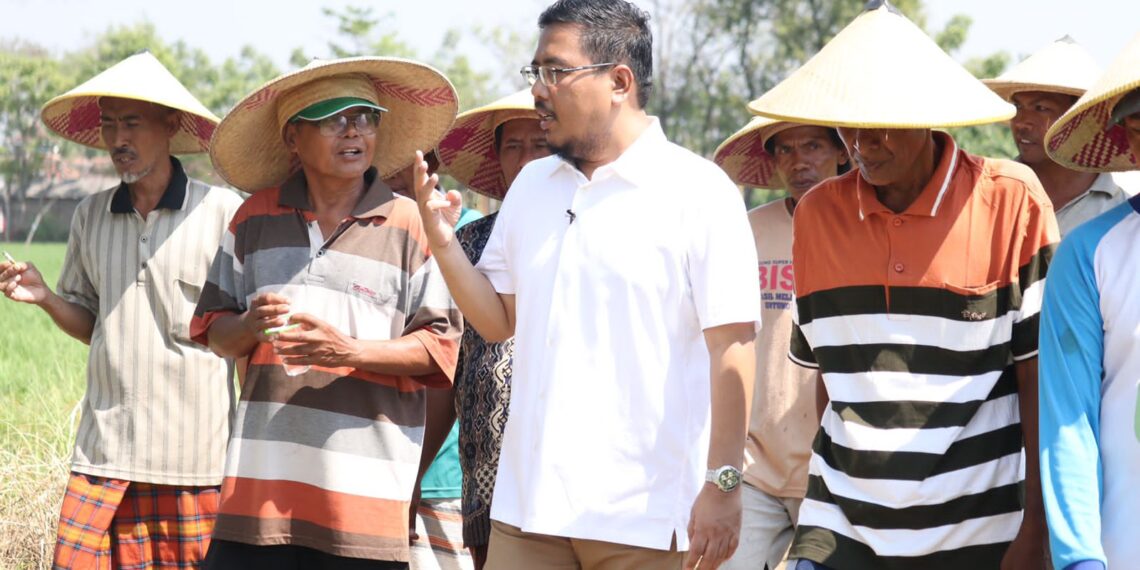 Wakil ketua DPRD Jatim Anwar Sadad saat temui petani pasuruan