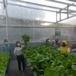 WhatsApp Image 2022-08-19 at 15.11.03