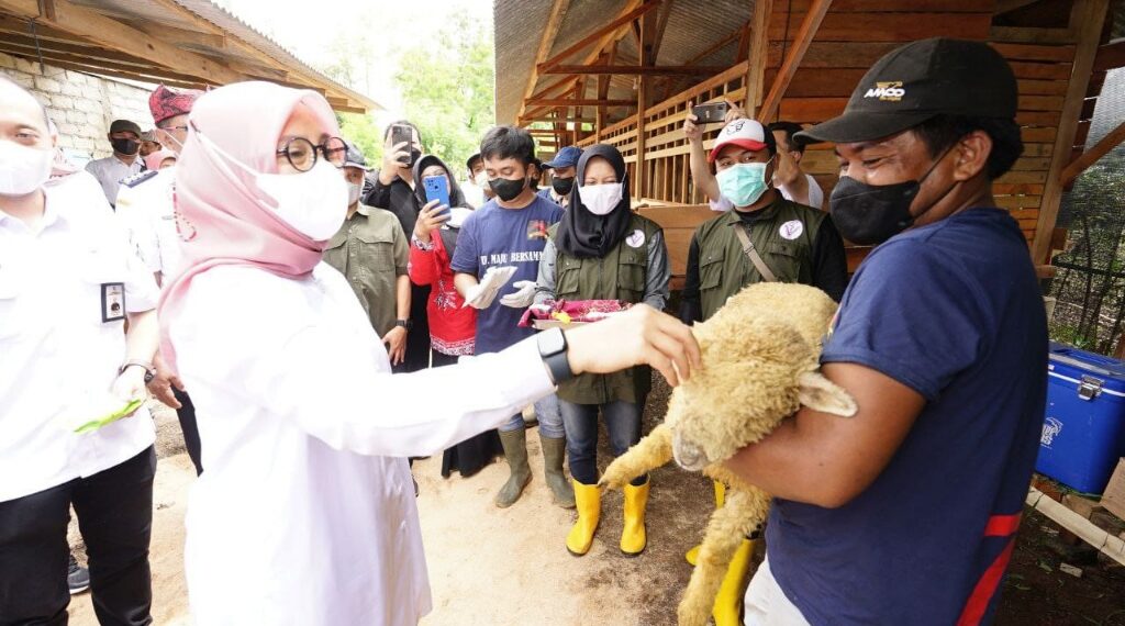 Ipuk Fiestiandani saat mengunjungi peternakan domba di Desa Kebunrejo