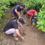 IOH: Kelestarian Mangrove Tingkatkan Ekonomi Masyarakat Jembrana Bali