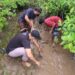 IOH fokus penguatan masyarakat di Desa Perancak, Jembrana melalui Pelatihan Pengelolaan dan Penyulaman Mangrove dan bersih-bersih Pantai Pura Segara Perancak. (ist)
