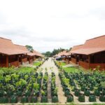 WhatsApp Image 2022-12-29 at 06.46.27