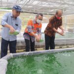 Inovasi SBI Pabrik Cilacap Budidaya Mikroalga di Lingkungan Pabrik WhatsApp Image 2023-01-13 at 17.07.11