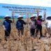 Optimisme PTPN XII Kebun Kalitelepak untuk Capai 2,1 ton/Ha Bule 5 Optimisme PTPN XII Kebun Kalitelepak untuk Capai 2,1 ton/Ha Bule
