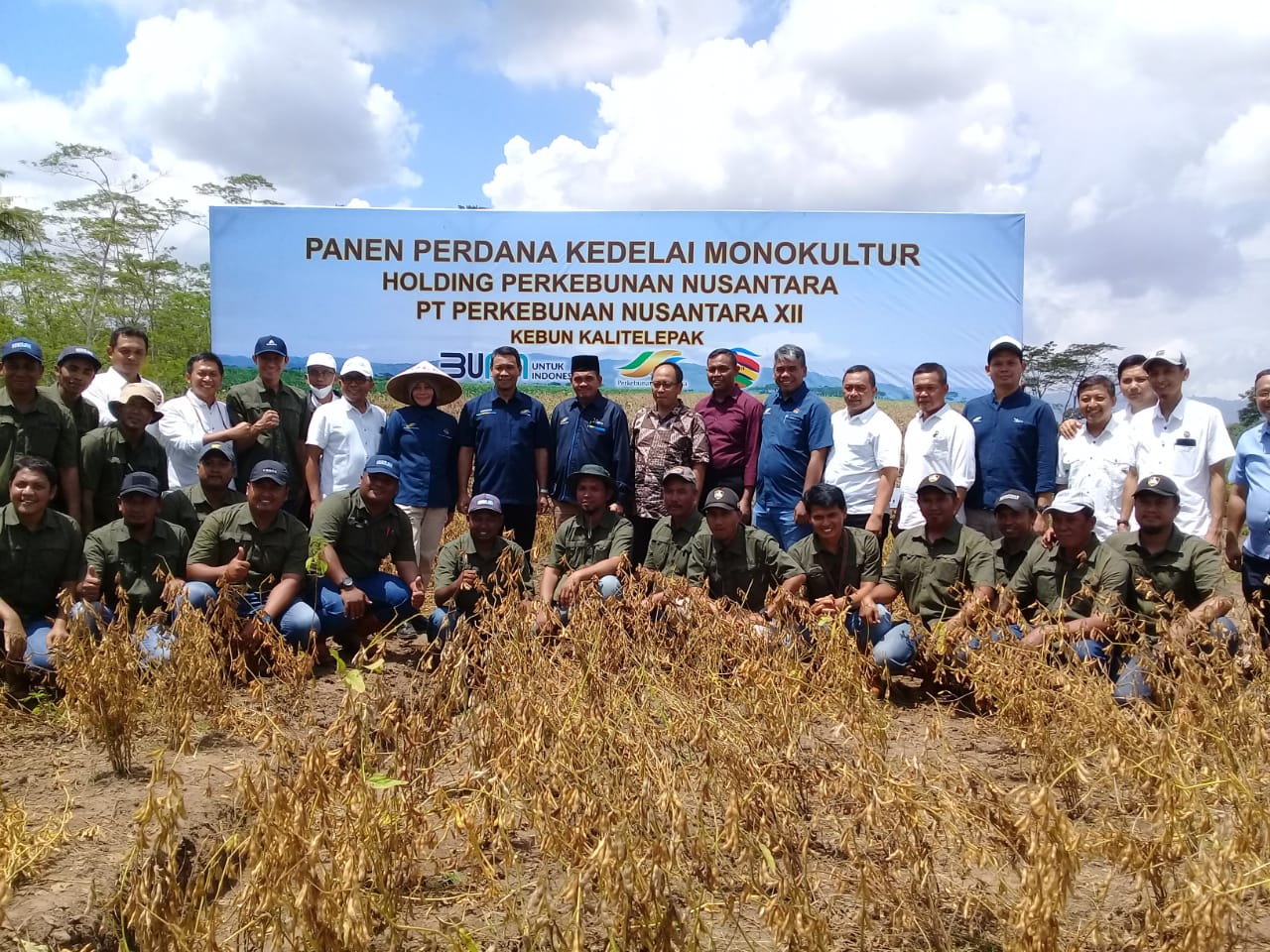 Optimisme PTPN XII Kebun Kalitelepak untuk Capai 2,1 ton/Ha Bule 1