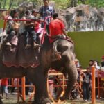 Pengunjung Membludak, KBS Buka 3 Pintu Masuk Pasca Libur Lebaran 2023 WhatsApp Image 2023-04-25 at 14.46.42