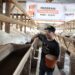 BMH Jatim Siapkan Hewan Qurban Berkualitas & Jaminan Jantan