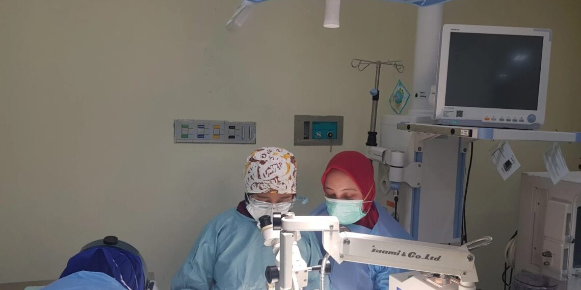 Dr Prihartini Widiyanti, drg, SBio, MKes saat melakukan penelitian. (ist)