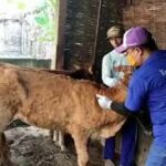 WhatsApp Image 2023-07-18 at 08.42.16