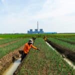 WhatsApp Image 2023-07-24 at 09.06.16