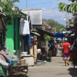 WhatsApp Image 2023-08-04 at 14.44.08(1)