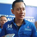 WhatsApp Image 2023-08-10 at 07.15.13