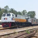 WhatsApp Image 2023-10-18 at 15.40.53