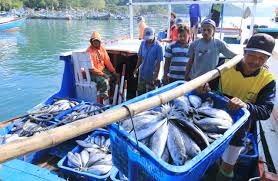 Pemkab Pasuruan Target Produksi Tangkapan Ikan 21 Ribu Ton