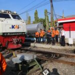 WhatsApp Image 2023-11-22 at 11.06.50