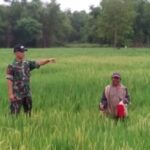 WhatsApp Image 2023-12-28 at 14.09.05