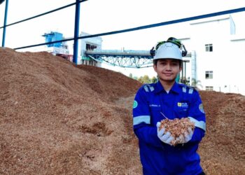 Produksi Energi Hijau 2 Kali Lipat, PLN NP Hasilkan 525,62 GWh Energi Hijau dari Co-Firing