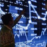 WhatsApp Image 2024-01-25 at 11.23.37