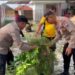 Gelar Bulan Bhakti TNI-Polri, Polsek Prenduan Bersih-Bersih di Tempat Ibadah 5 Gelar Bulan Bhakti TNI-Polri, Polsek Prenduan Bersih-Bersih di Tempat Ibadah