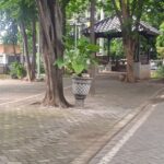 WhatsApp Image 2024-02-05 at 16.22.24