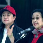 WhatsApp Image 2024-02-09 at 08.36.26