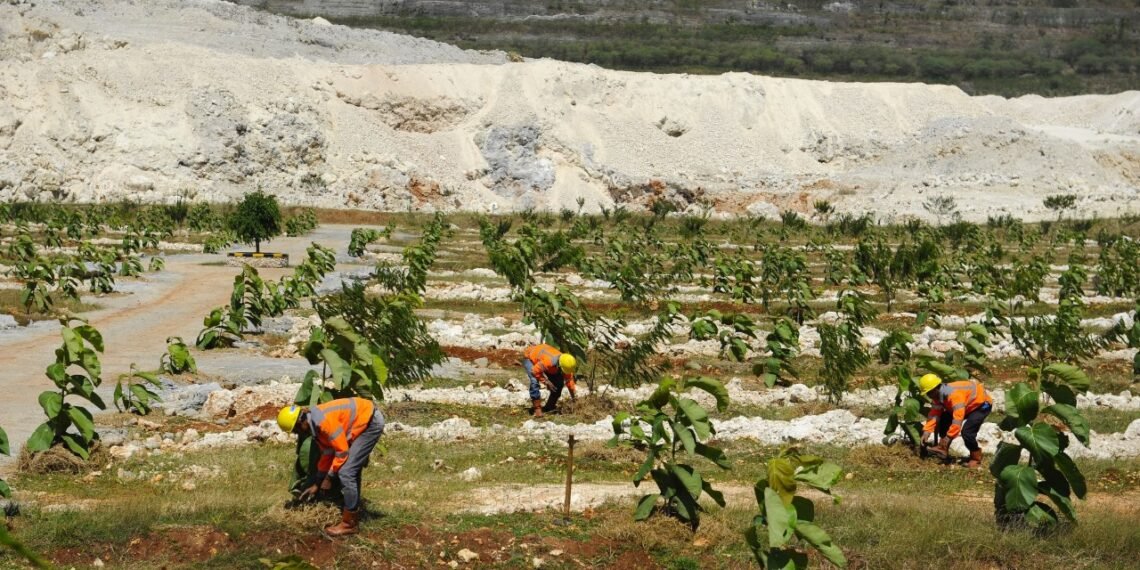 Proses revegetasi lahan pascatambang dengan sistem alur di SIG Pabrik Tuban. (foto: ist)