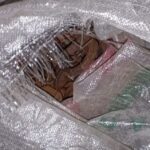 WhatsApp Image 2024-05-04 at 13.06.35