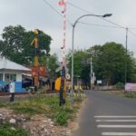 WhatsApp Image 2024-06-04 at 09.18.24