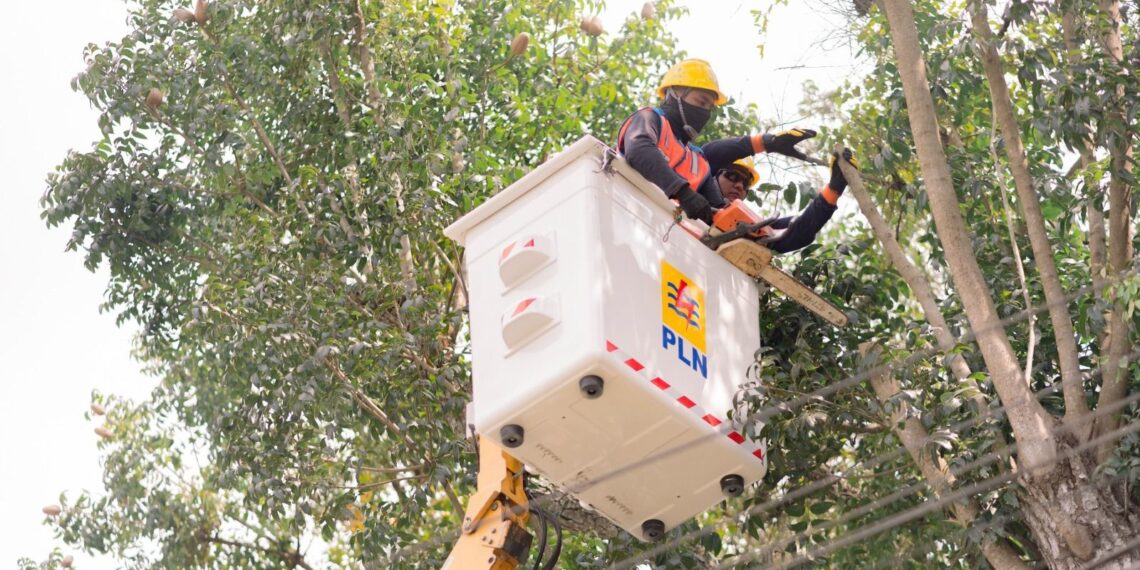 Kegiatan meliputi penggantian material tua jaringan SUTM, penggantian material sambungan panas SUTM, pemasangan peralatan jaringan SUTM rawan petir, penggantian material berkarat, perabasan, dll. (foto: ist)