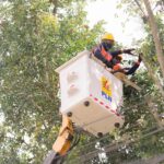 WhatsApp Image 2024-06-15 at 09.04.32