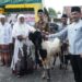 Peduli Kaum Duafa, Pemkab Sumenep Salurkan Puluhan Hewan Kurban