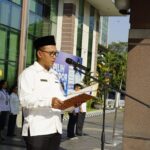 WhatsApp Image 2024-07-16 at 14.21.46