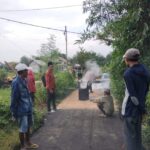 WhatsApp Image 2024-07-24 at 18.31.31