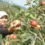 WhatsApp Image 2024-07-31 at 14.03.28