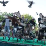 Potensi Menarik Minat Wisatawan, Forkopimda Meriahkan Festival Dara Oddag IMG-20240813-WA0133