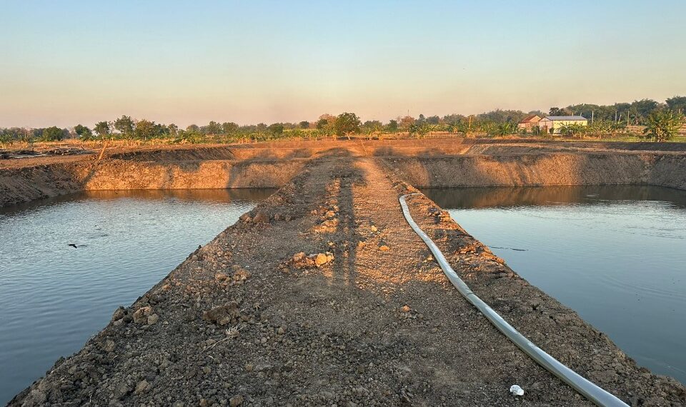 Tingkatkan Ketahanan Pangan, Kades Sidoraharjo Sulap Tanah Bengkok Jadi Tambak Produktif 1 Tanah Bengkok yang dijadikan Tambak Produktif
