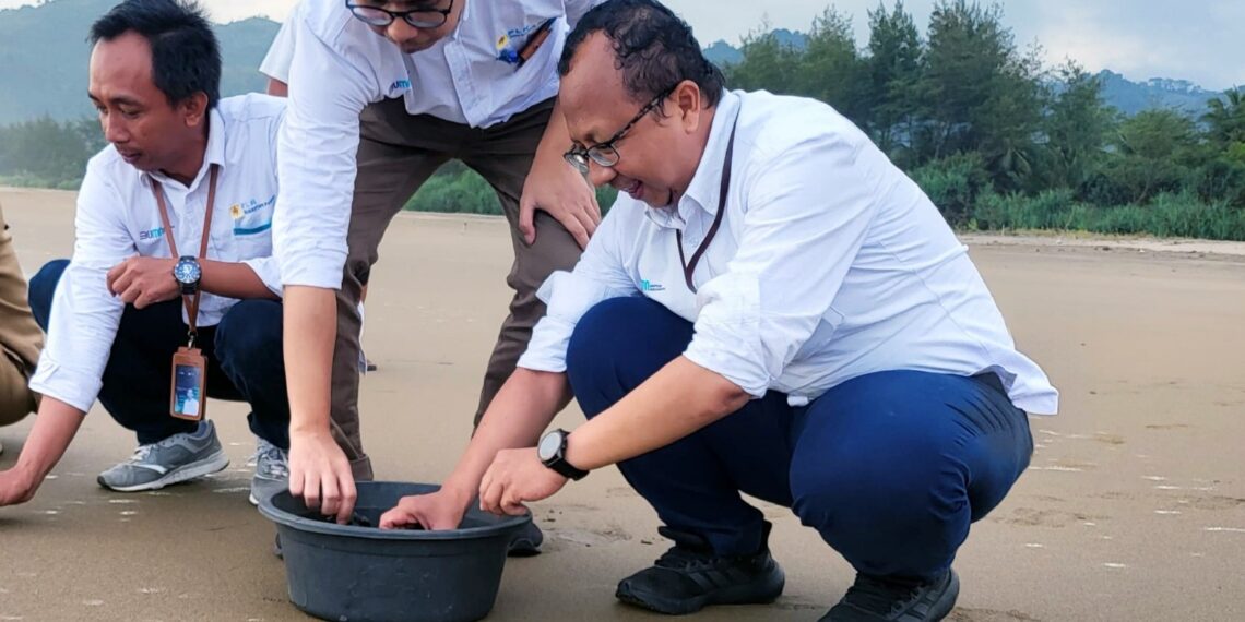 Konsisten Lestarikan Lingkungan, PLN NP Raih 2 Penghargaan dari KLHK 1 PLN NP