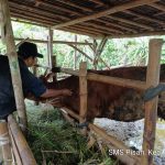 WhatsApp Image 2024-10-08 at 10.55.46