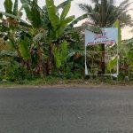 WhatsApp Image 2024-10-14 at 11.24.55