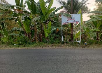 Tim Pemenangan Paslon Salaf Geram, Akibat Banyaknya APK Rusak di Beberapa Wilayah